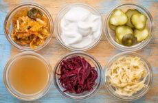 Qué son los probióticos y sus beneficios para nuestra salud