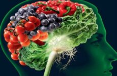 Los mejores alimentos y nutrientes para el cerebro Los mejores alimentos y nutrientes para el cerebro