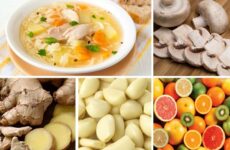 5 Mejores alimentos para curar un resfrío 5 Mejores alimentos para curar un resfrío