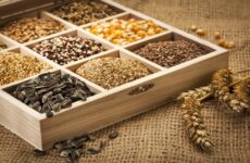 5 Semillas altas en proteínas para añadir a tu dieta