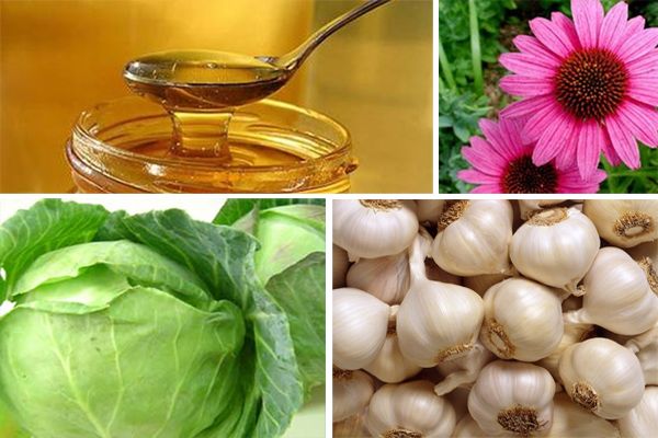 Fuentes alimenticias de antibióticos naturales Fuentes de alimentos antibióticos naturales que mejoran la inmunidad