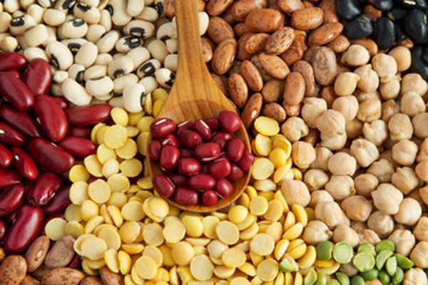 5 Mejores porotos para agregar a su dieta 5 Mejores porotos para agregar a su dieta