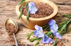 Semillas de lino: Beneficios y propiedades saludables