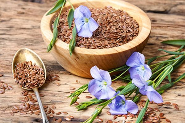 Semillas de lino: Beneficios y propiedades saludables 